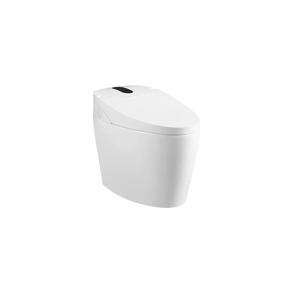 Factory Directly Modern Floor Standing White Glazed Ceramic Wc Intelligent Smart Toilets