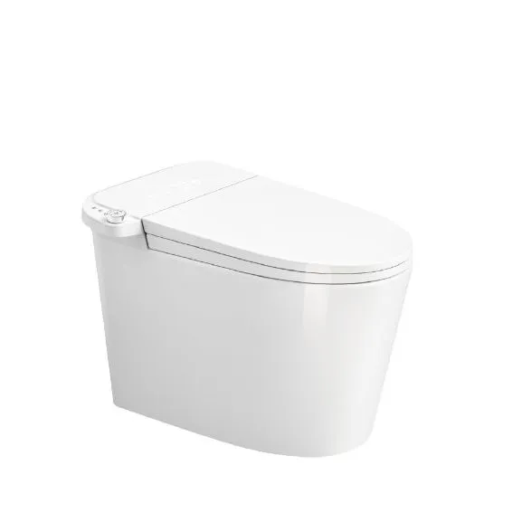 Smart Toilet Style 2
