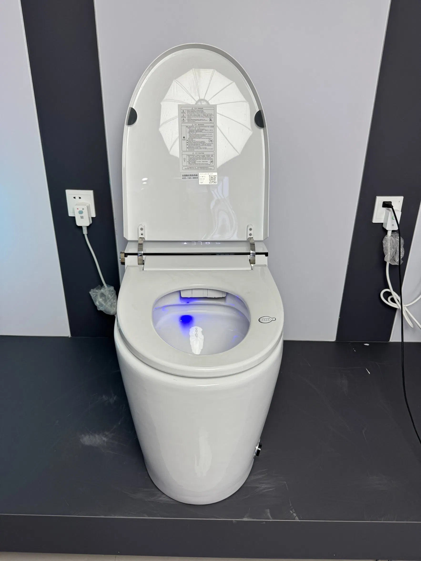 Smart Tankless Intelligent Toilet for Bathroom with Floor Mounted
