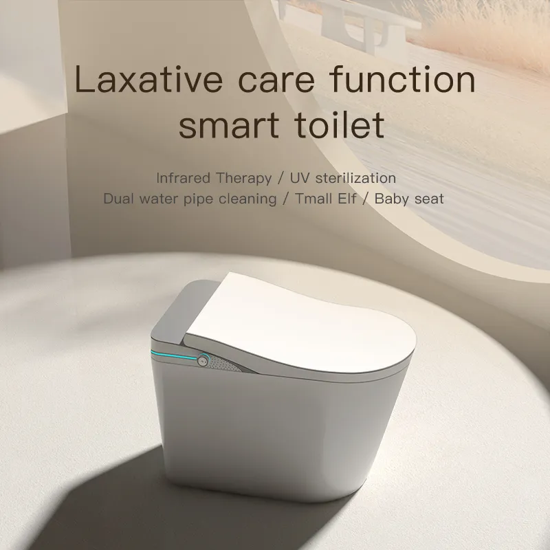 Smart Toilet View 1