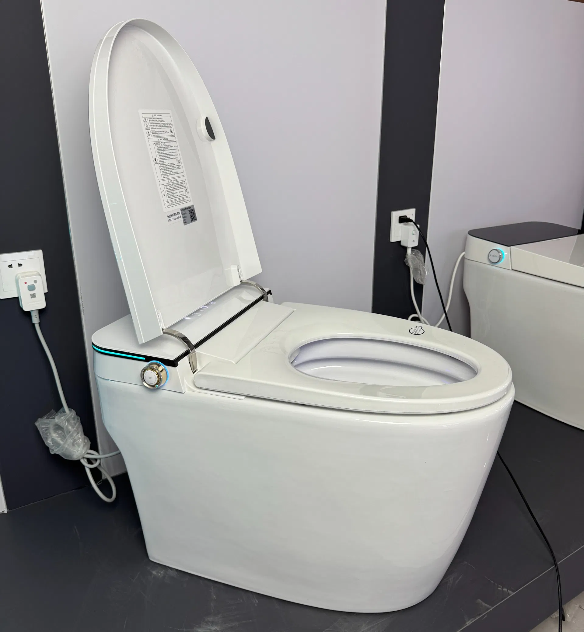 Smart Toilet View 2