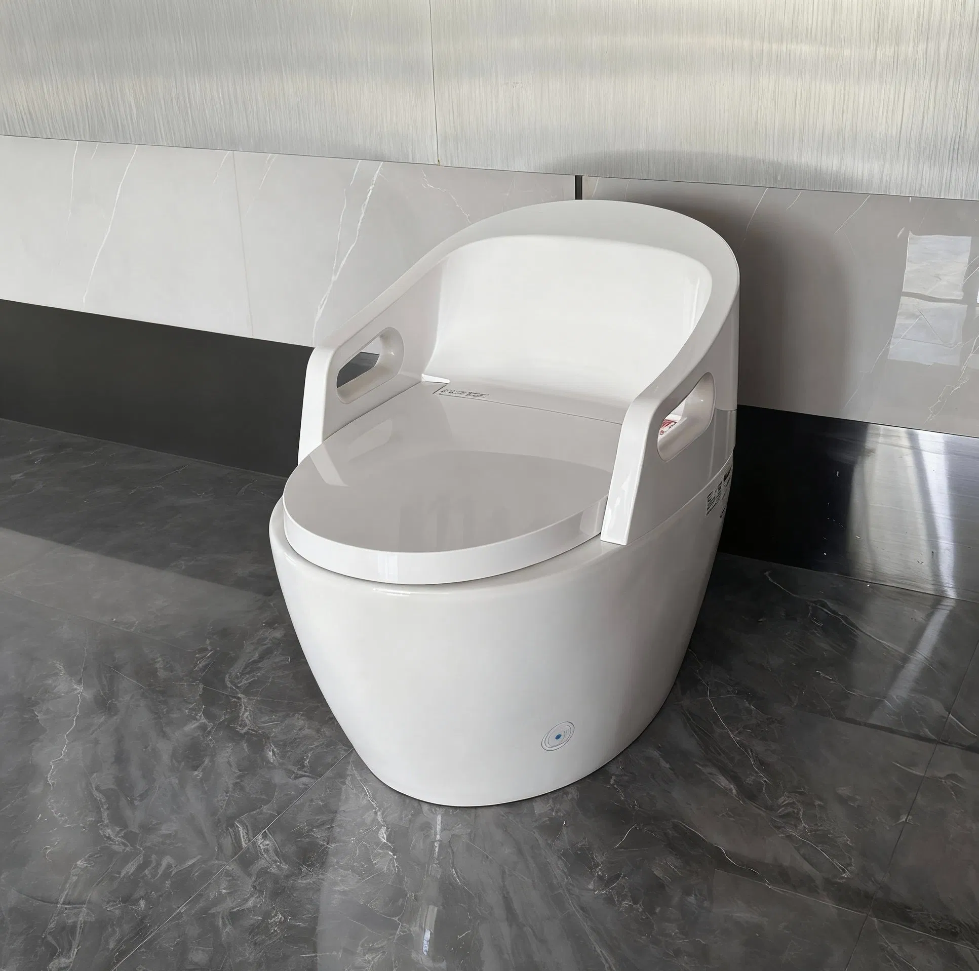 Floor Standing Mounted Intelligent Smart Toilet with Handrails for Elderly/Disabled People
