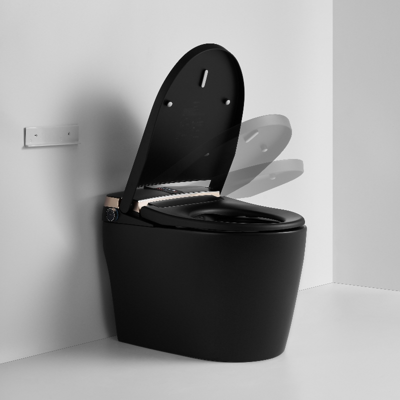 Watermark White Standing Mounted Auto Flush One Piece Smart Toilet