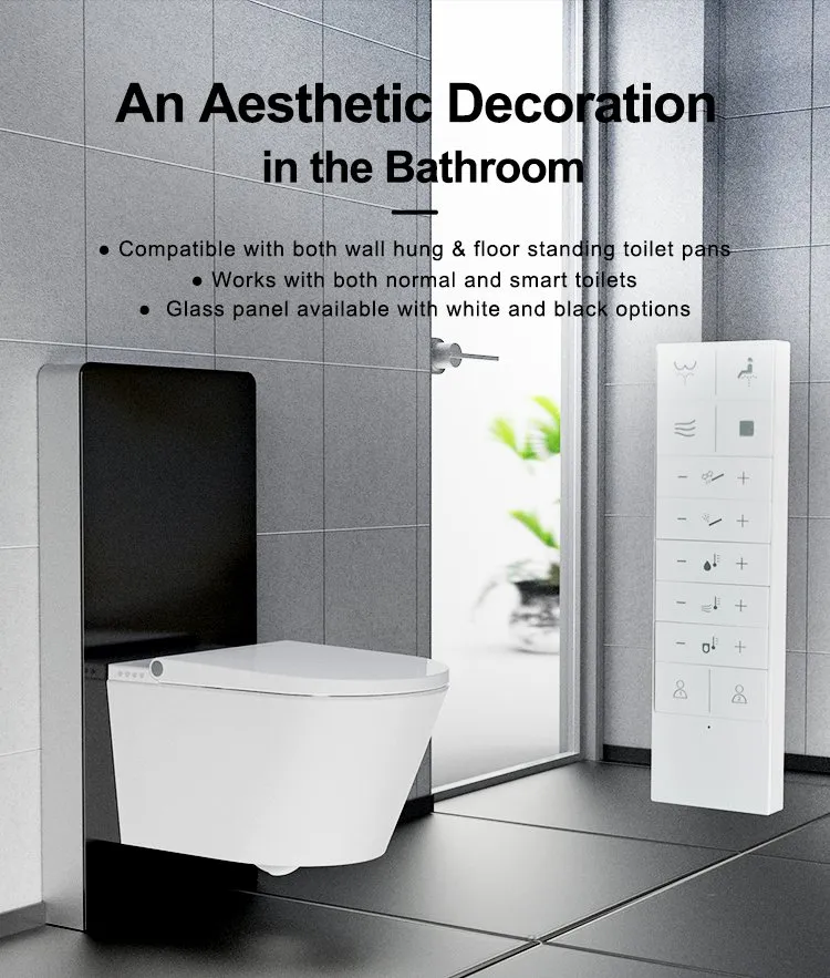 Wall Hung Toilet Glass Cistern