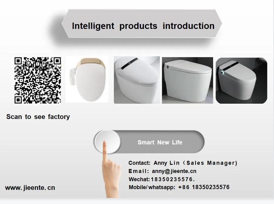 Intelligent Bidet Toilet 11