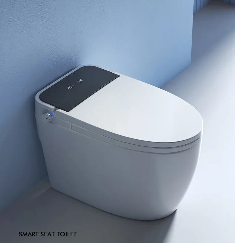 Smart Toilet Overview