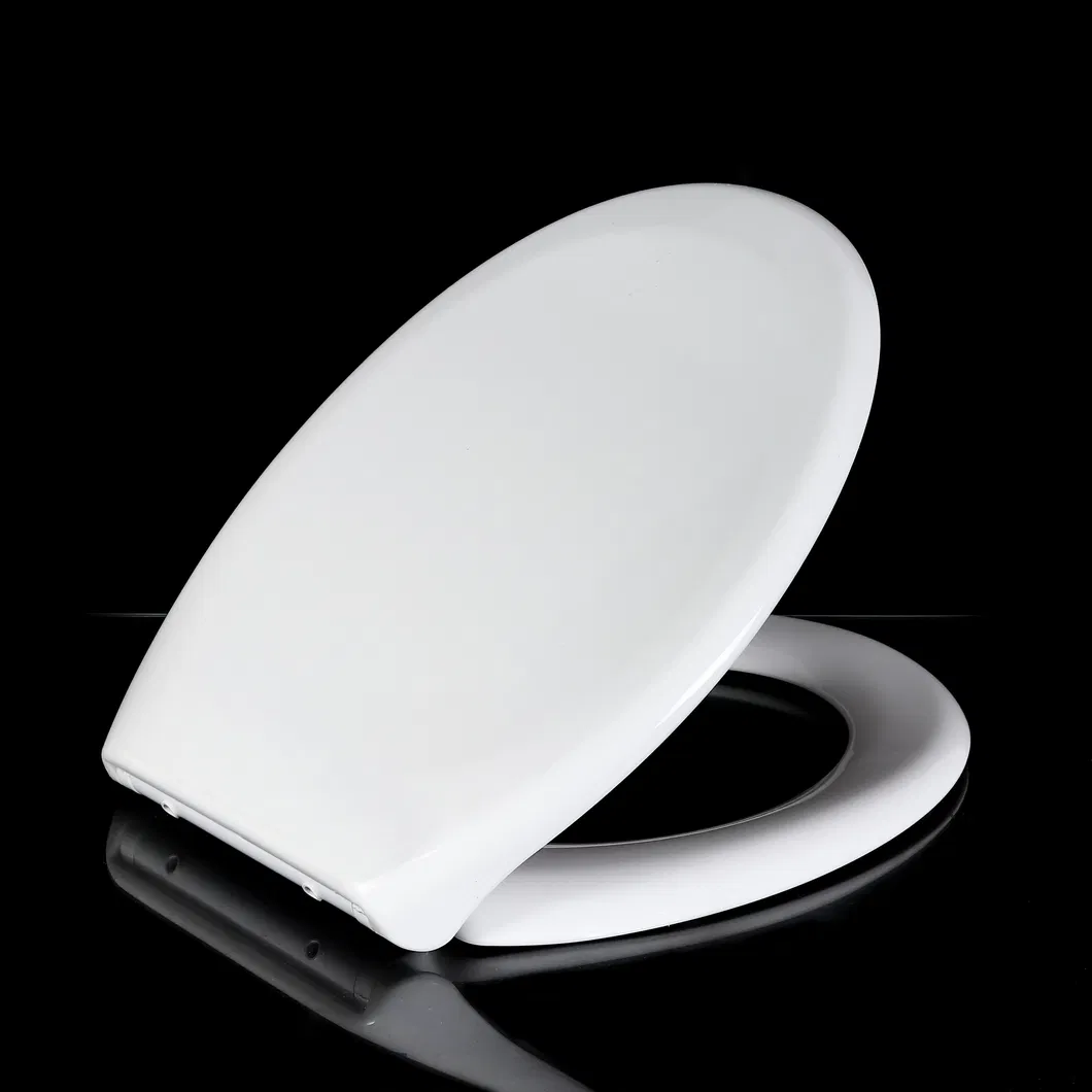 Bidet Toilet Seat 3