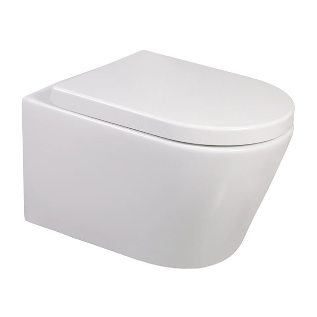 Flushing Washdown Wall Hung Toilet with Concealed Cistern