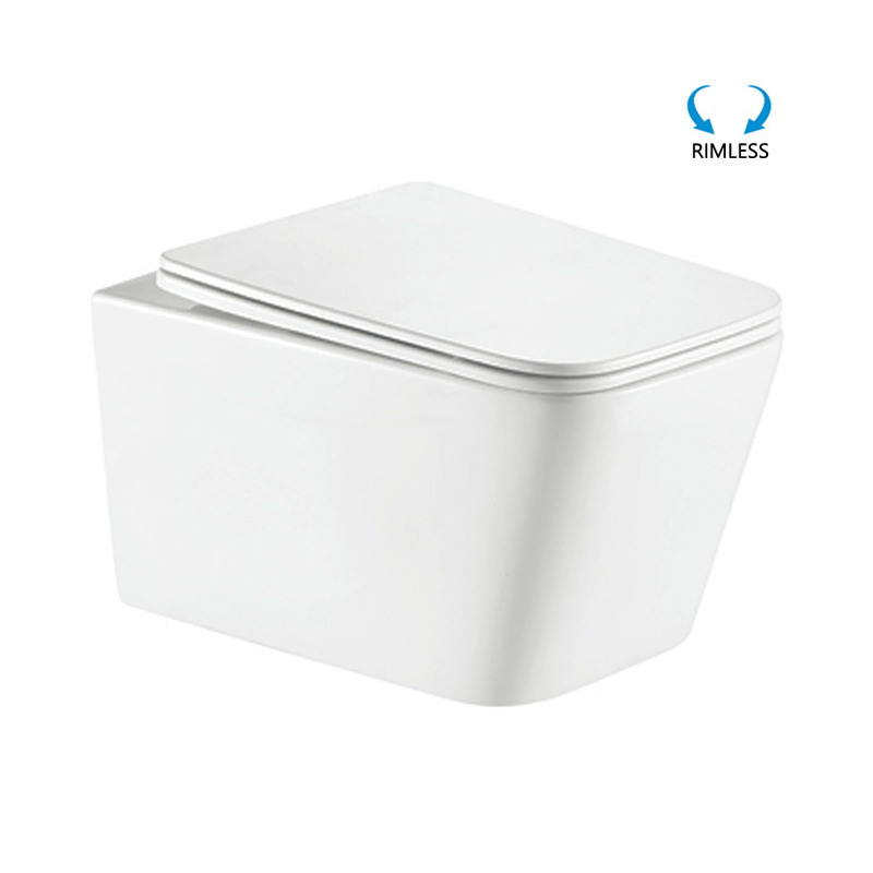 wall mounted commode