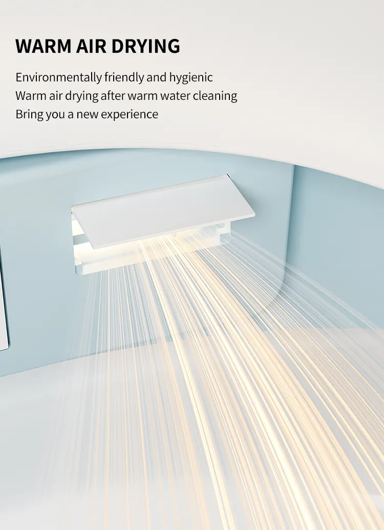 Smart Toilet Detail 13