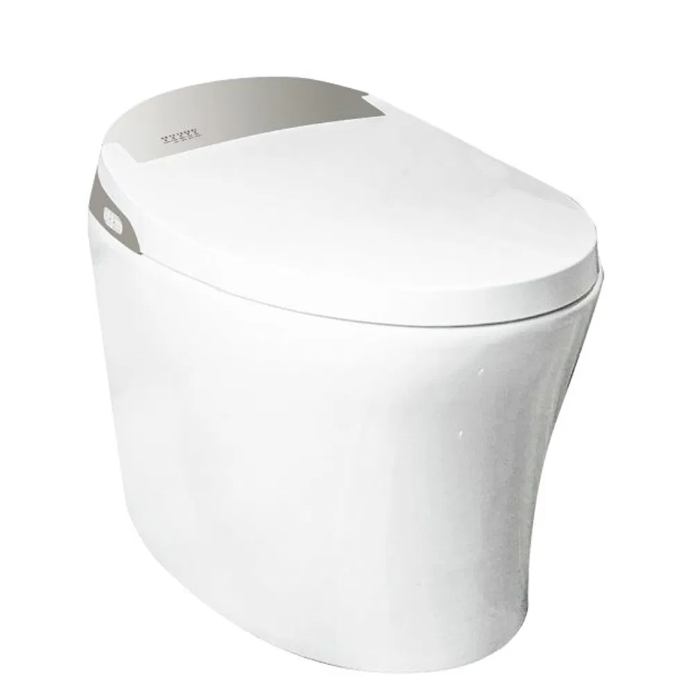 Smart Automatic Intelligent Toilet System
