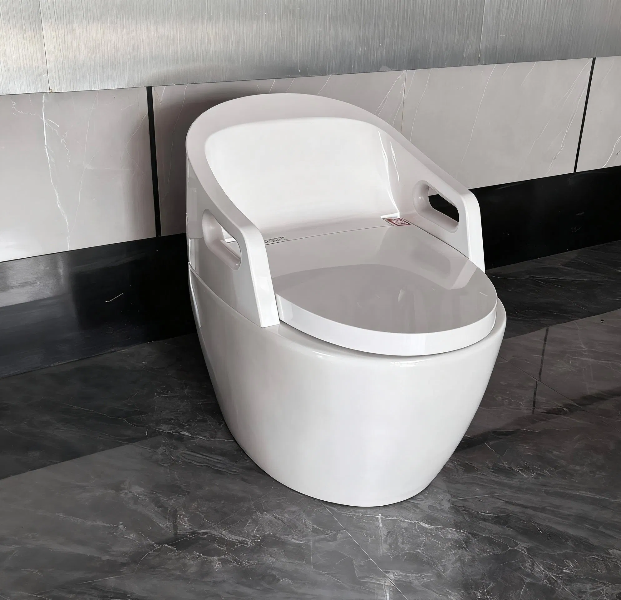 Floor Standing Mounted Intelligent Smart Toilet with Handrails for Elderly/Disabled People
