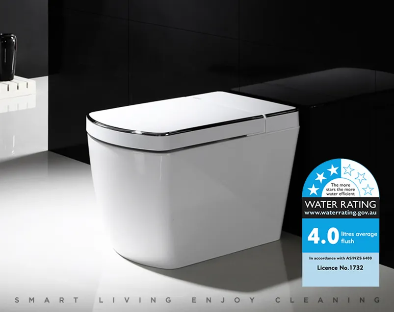 Smart Toilet Detail 1