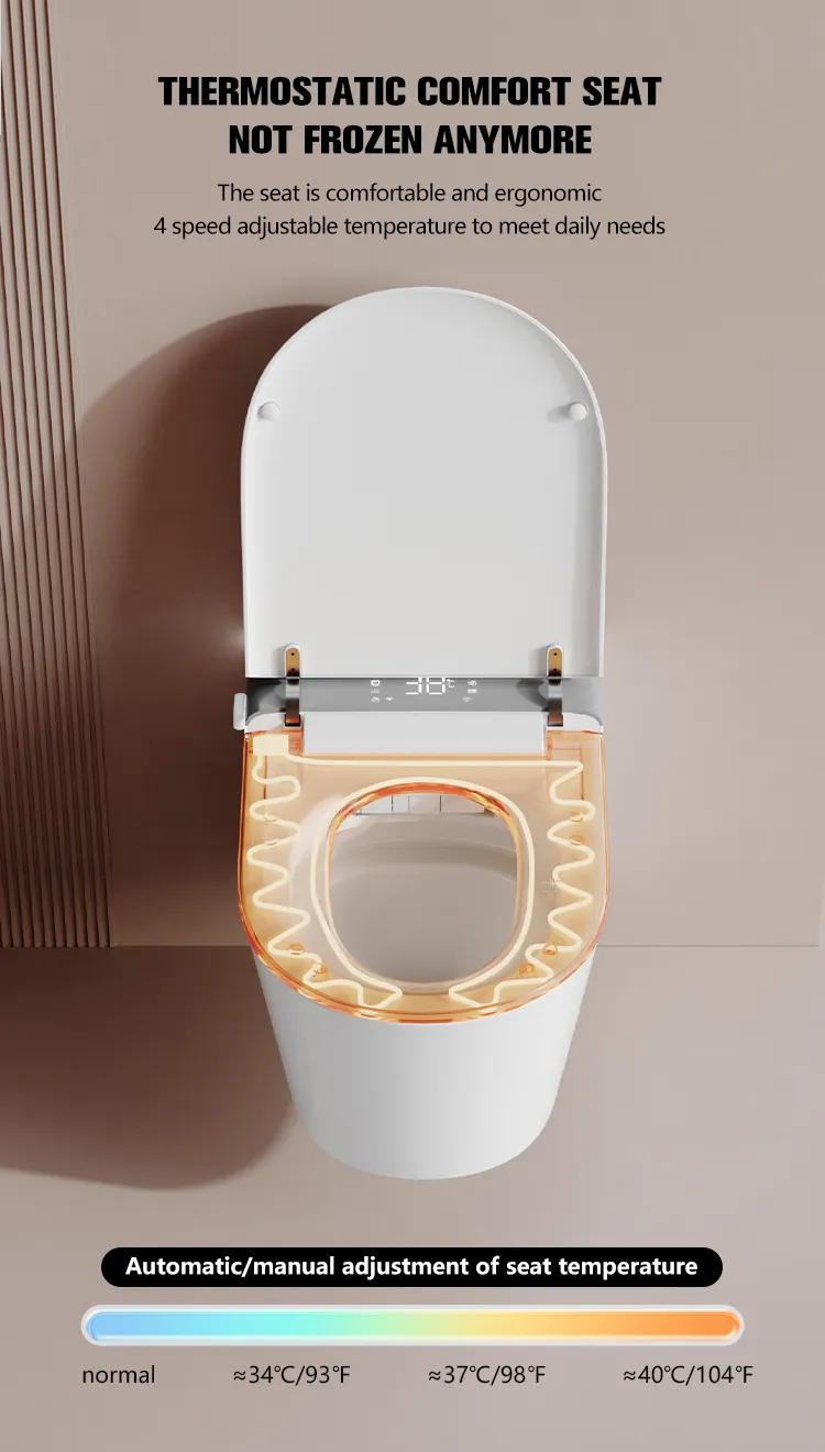 Smart Toilet Features 3