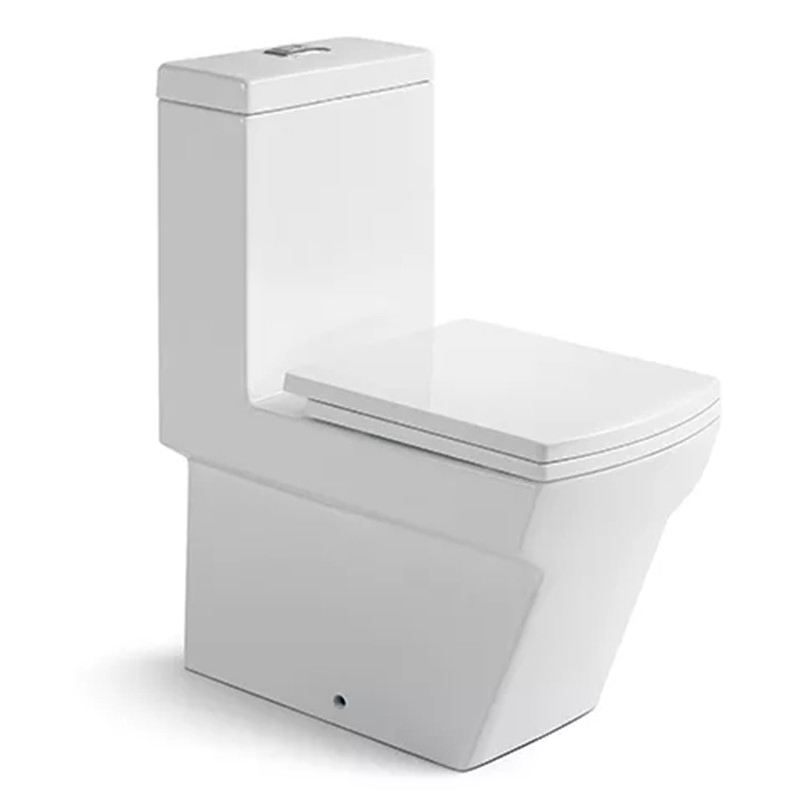 Manufacture Modern Standing Floor Two Smart Washdown Watermark One Piece Toilet Stool
