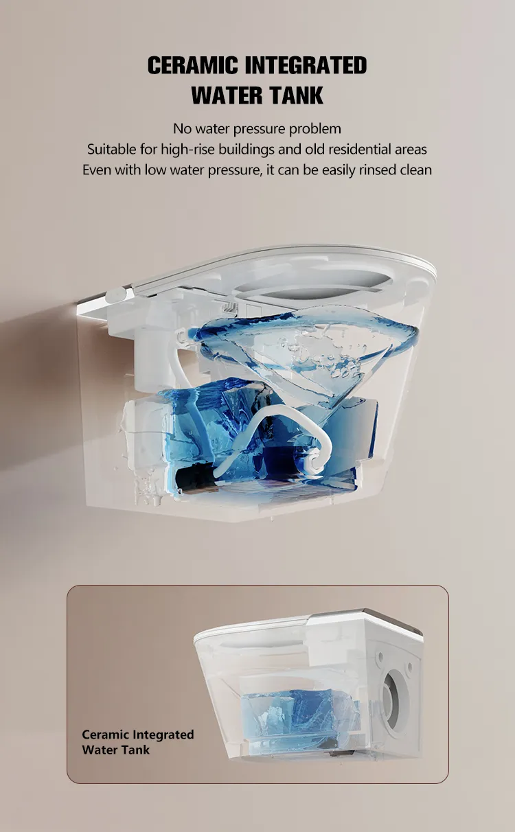 Smart Toilet Detail 5