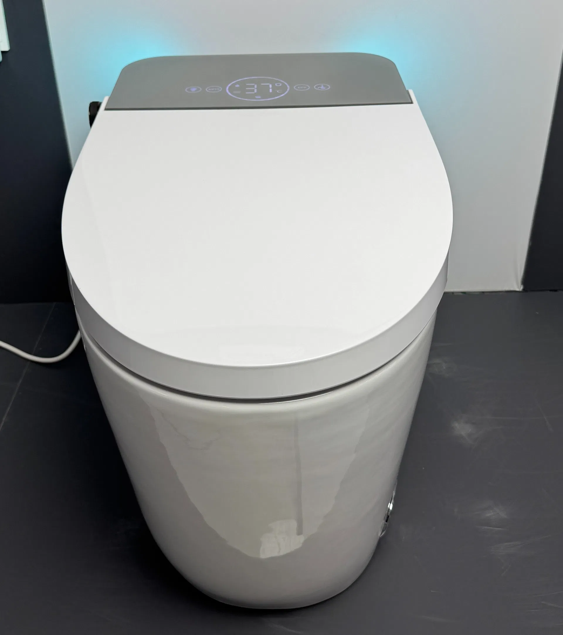 Smart Tankless Toilet