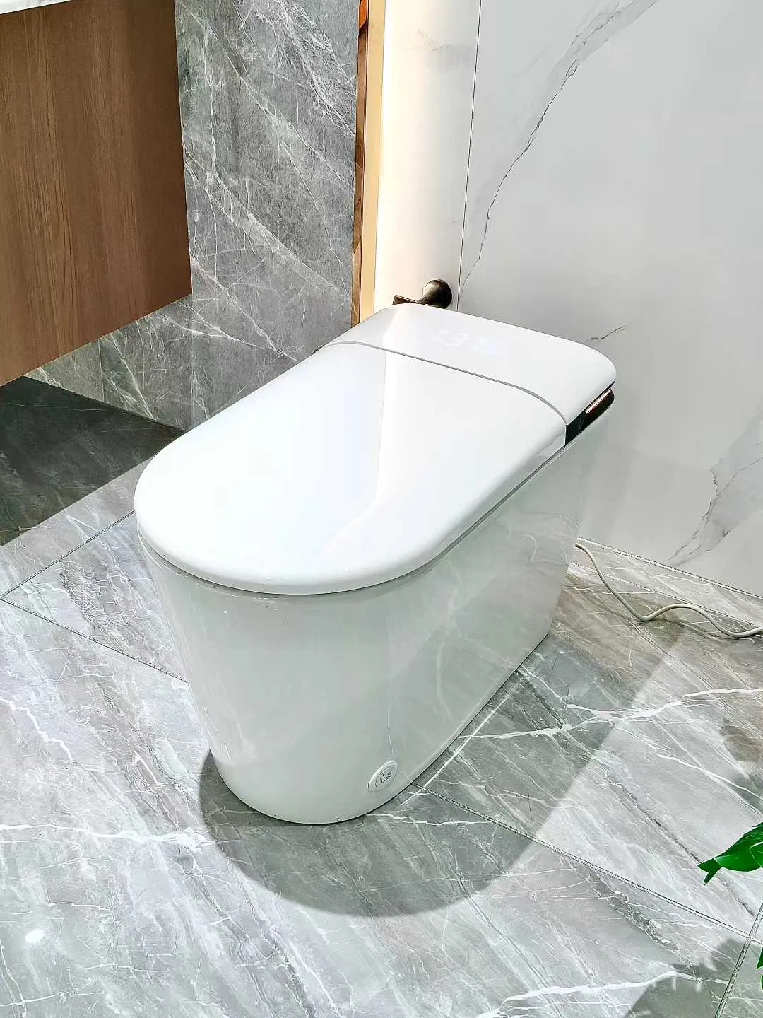 European CE, Watermark Upc Smart Toilets White Finish Floor Standing Smart Toilets