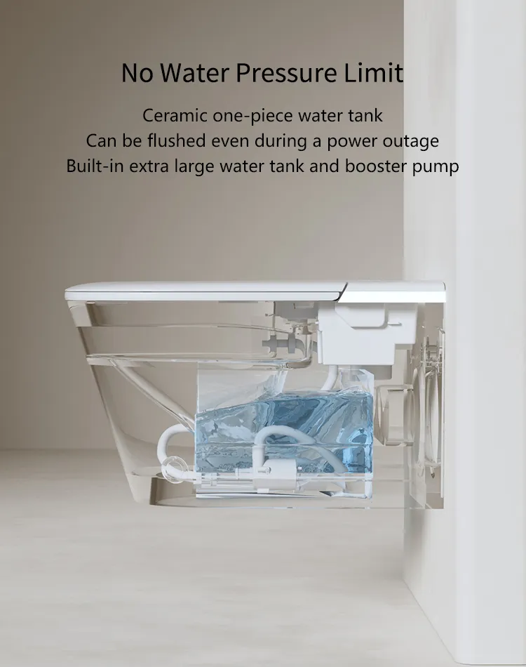 Smart Toilet Feature 5