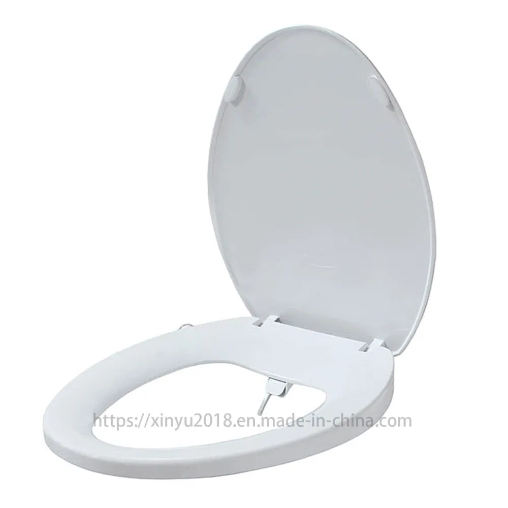 Bidet Toilet Seat
