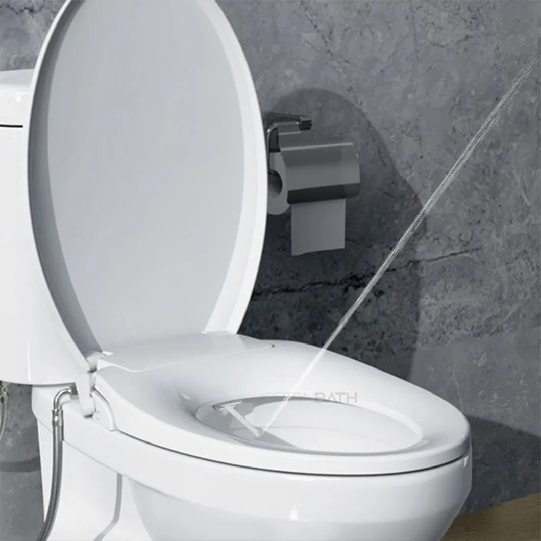 Toilet Seat Detail 1