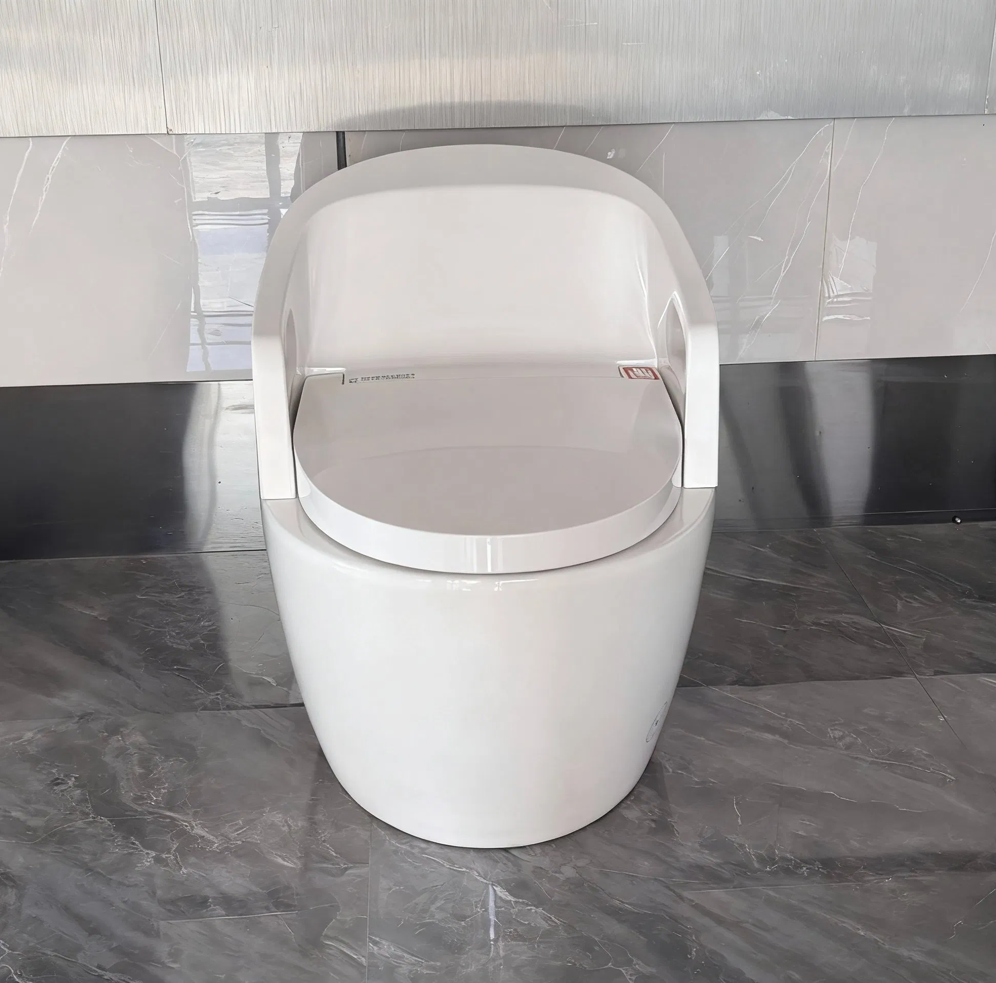 Floor Standing Mounted Intelligent Smart Toilet with Handrails for Elderly/Disabled People