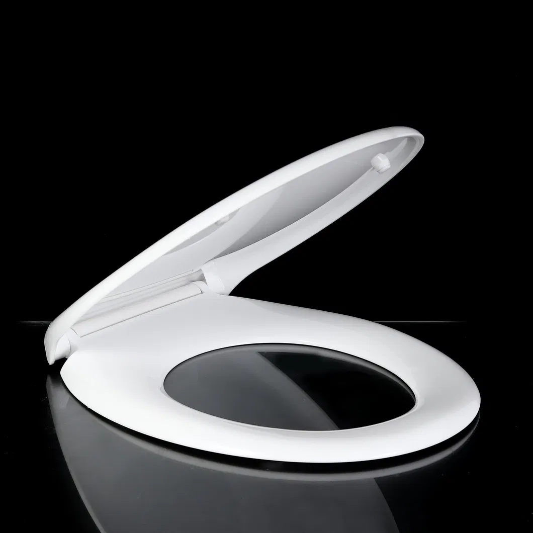 Bidet Toilet Seat 2