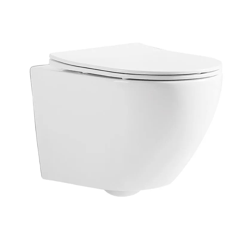 Dual Flush System Wall Hung Toilet