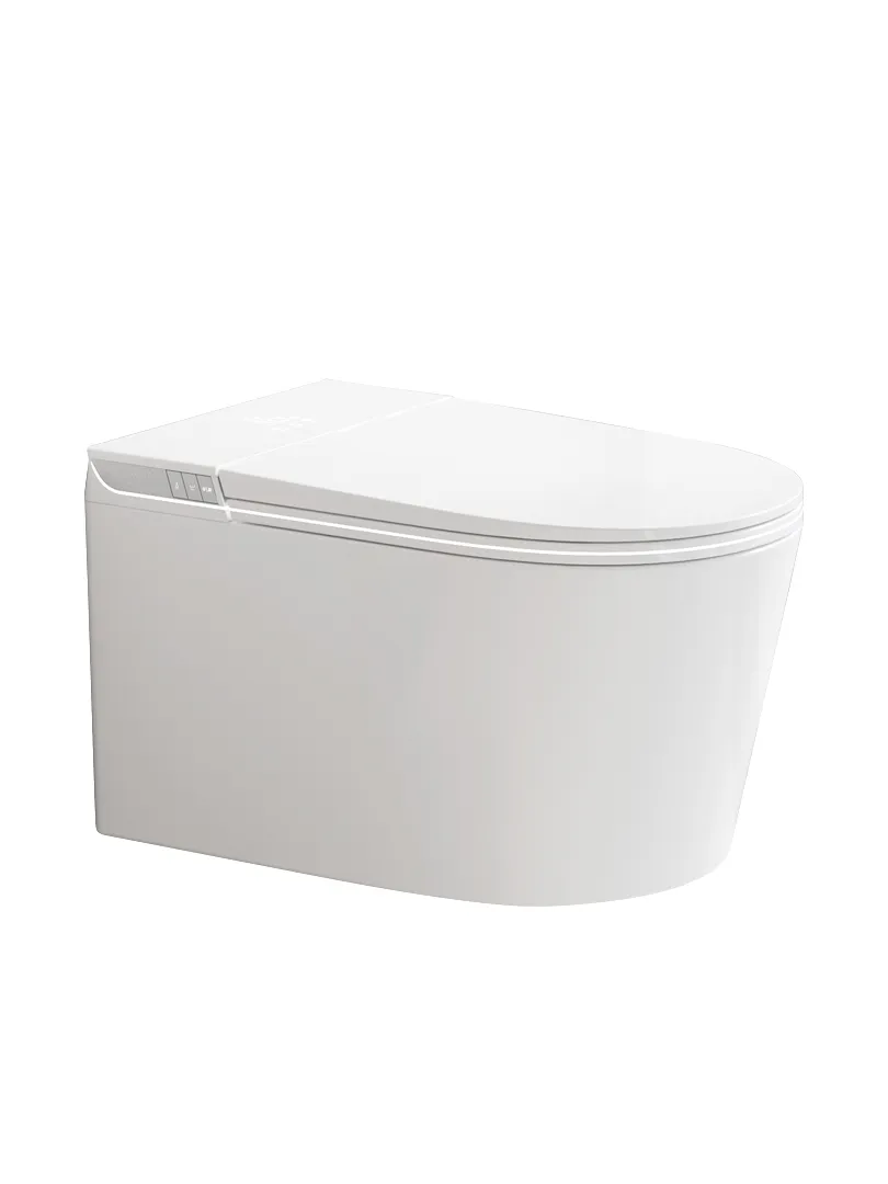 Smart Toilet View 1