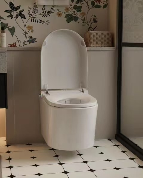 CE Certificate Europe Design Styles Wall-Hung Intelligent Smart Ceramic Toilets