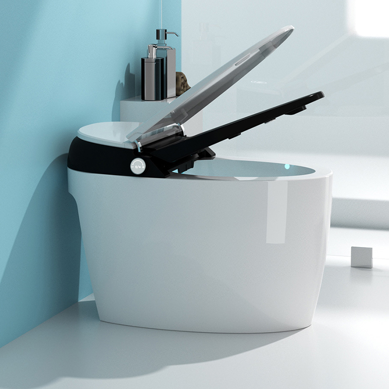 Smart Toilet with Advanced Bidet Function Self Cleaning Nozzle and Warm Air Dryer