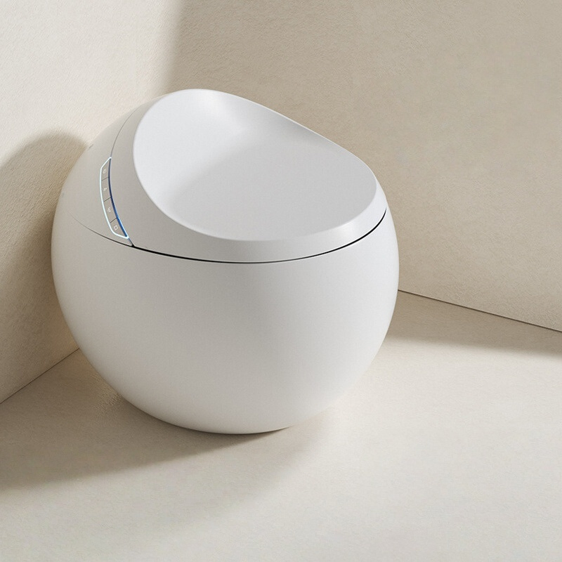 Luxury Intelligent Toilet Bidet Bathroom Auto Water Spray Flush Wc Smart Toilet