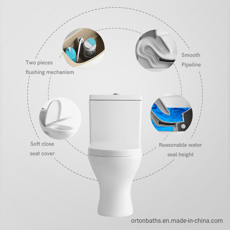 Africa Small Slim Tank Bathroom Ceramic Sanitary Ware Two Piece Wc Close Coupled Water Closet Toilet with Bidet Bowl Seat Cover