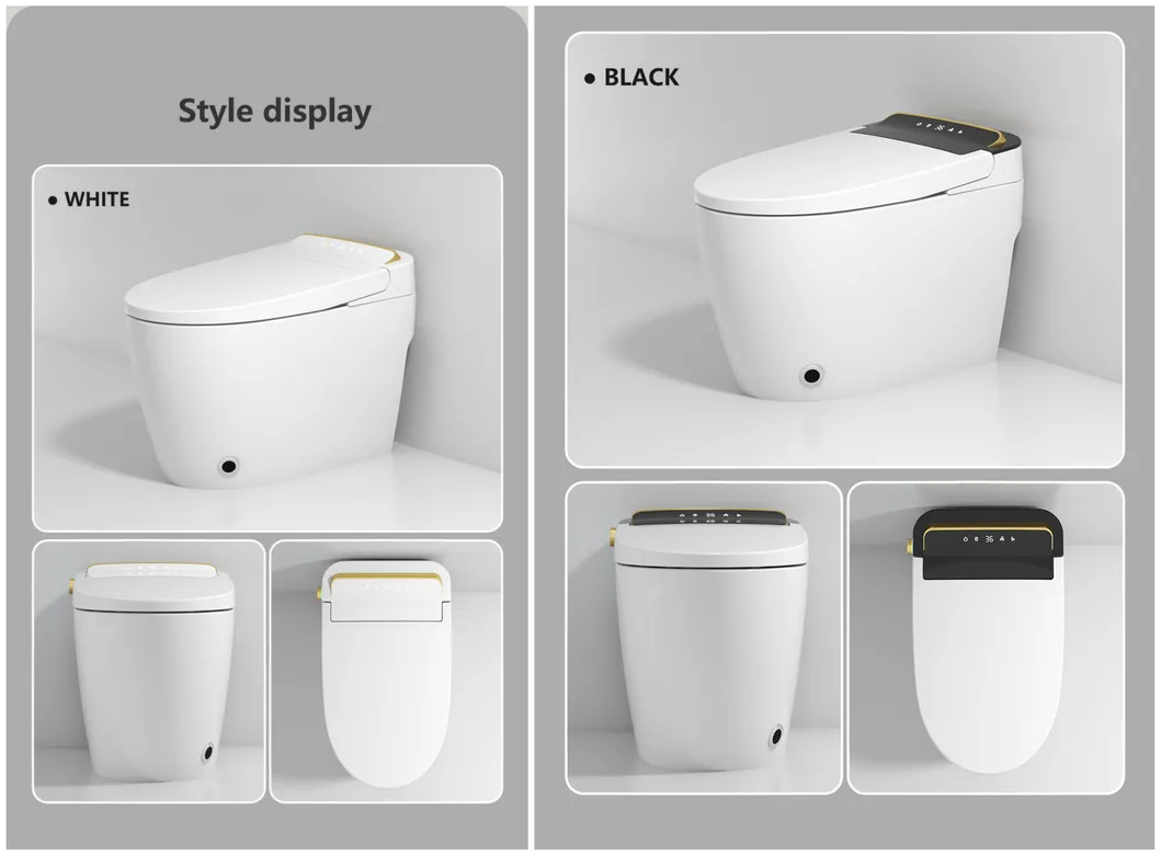 Smart Toilet Design 12