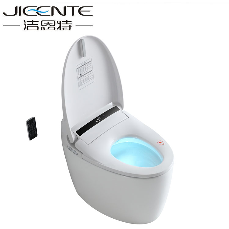 Bathroom Bidet Automatic Intelligent Bidet Toilet