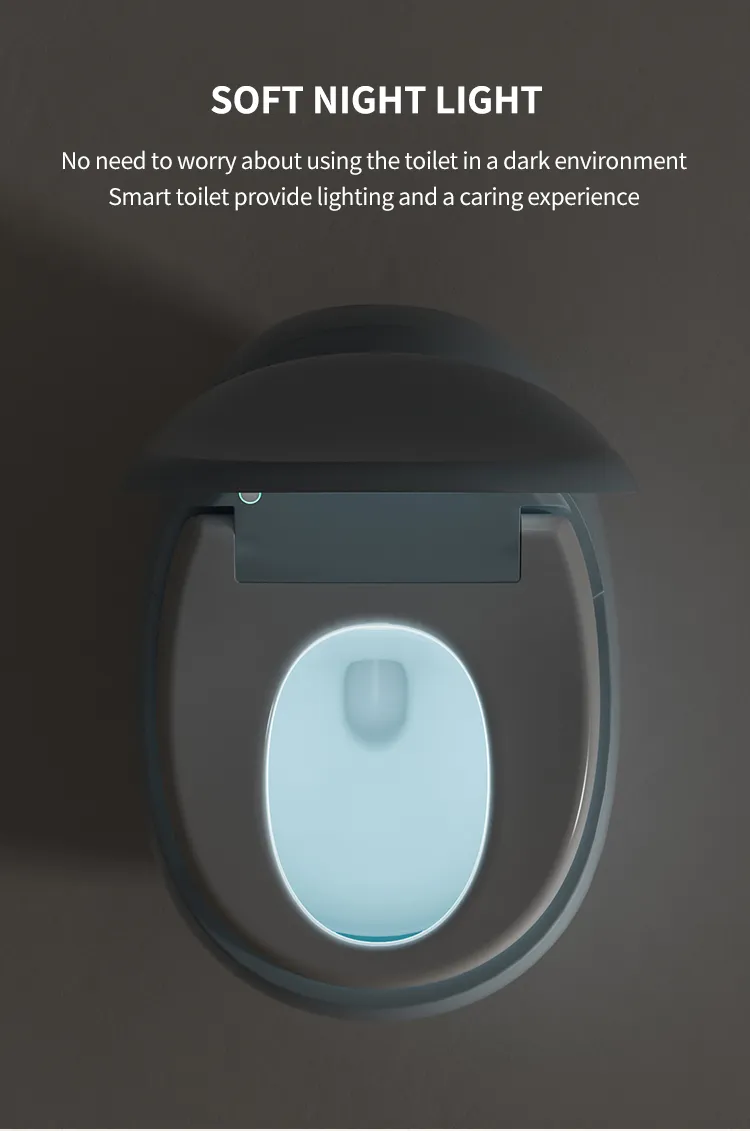 Smart Toilet Detail 15