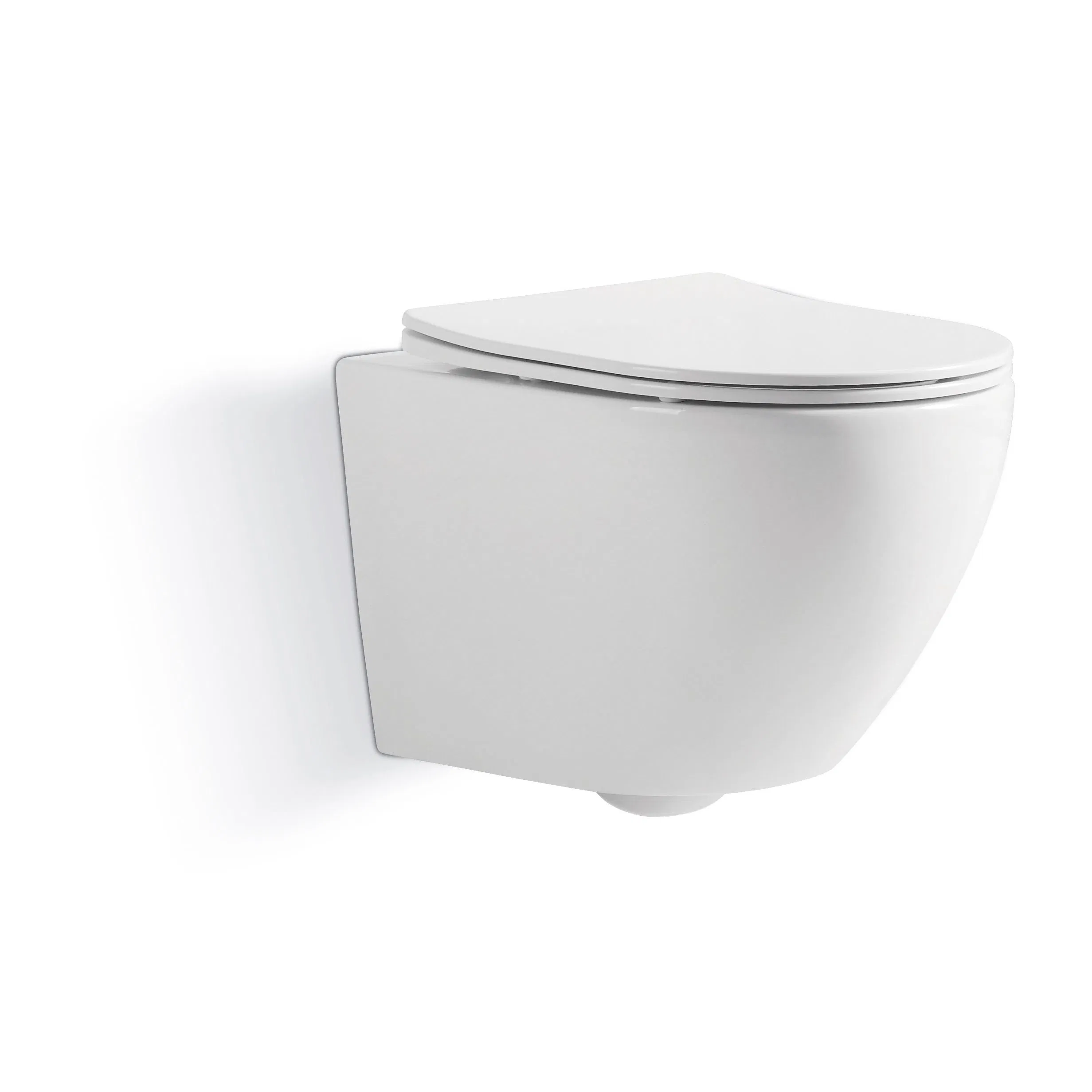 Dual Flush System Wall Hung Toilet with Concealed Tank