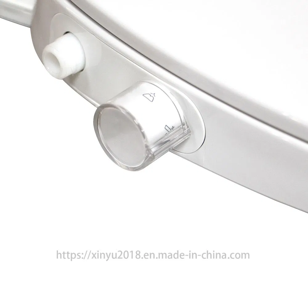 Bidet Toilet Seat