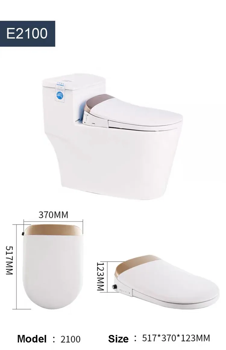 Intelligent Toilet View 1