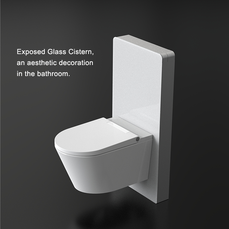 European Standard CE Wall Mounted Floor Standing Toilet Glass Cistern Dual Flush Cistern Toilet Water Tank