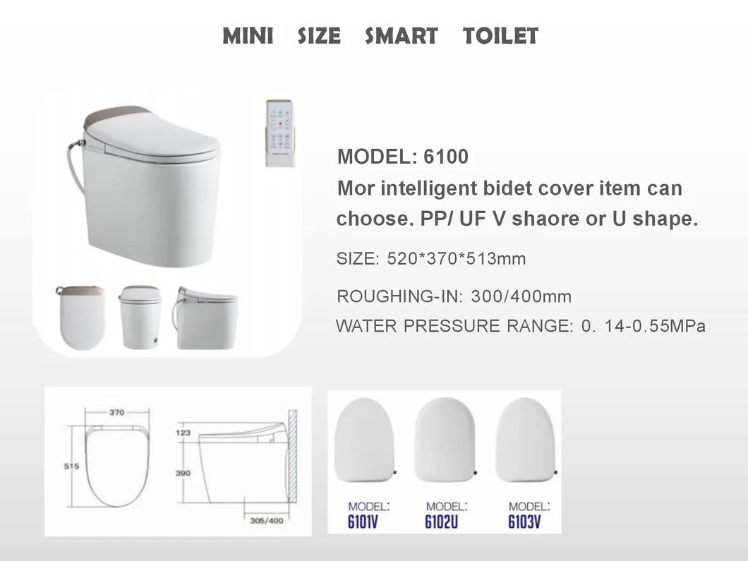 Intelligent Bidet Toilet 10