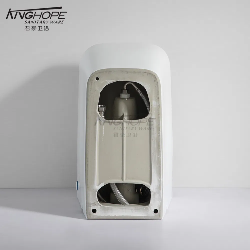 Luxury Sanitary Ware Ceramic Smart Wall-Hung Wc Sanitary Toilet for Hotel with Pulse Flushing