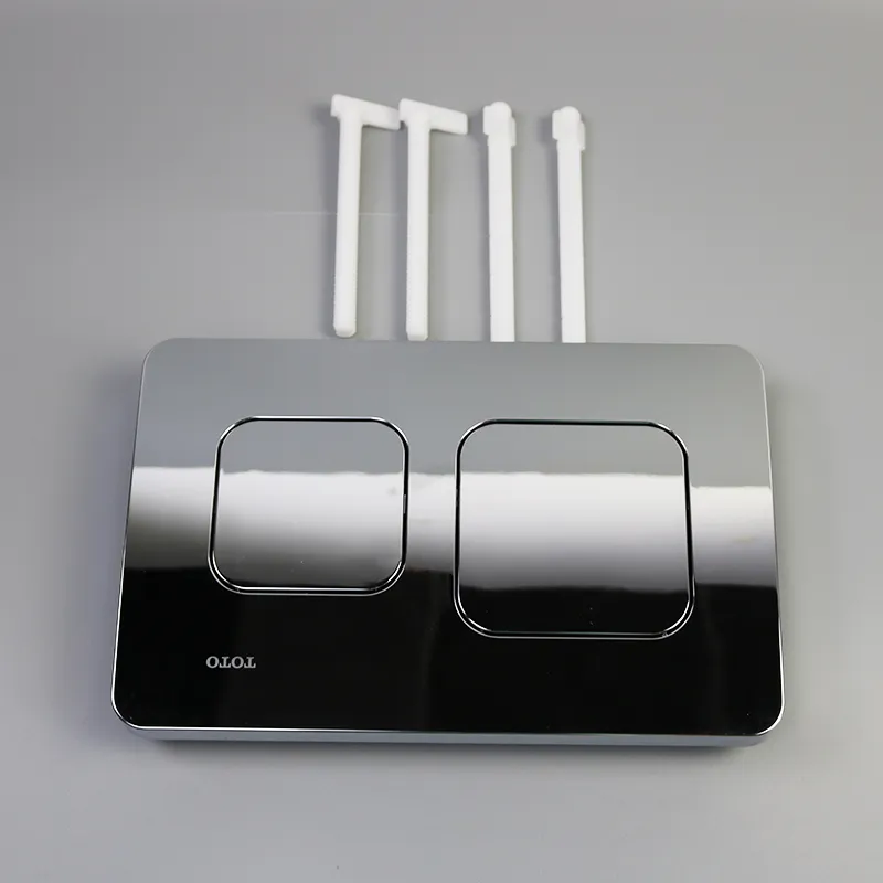 Concealed Toilet Dual Flush Button