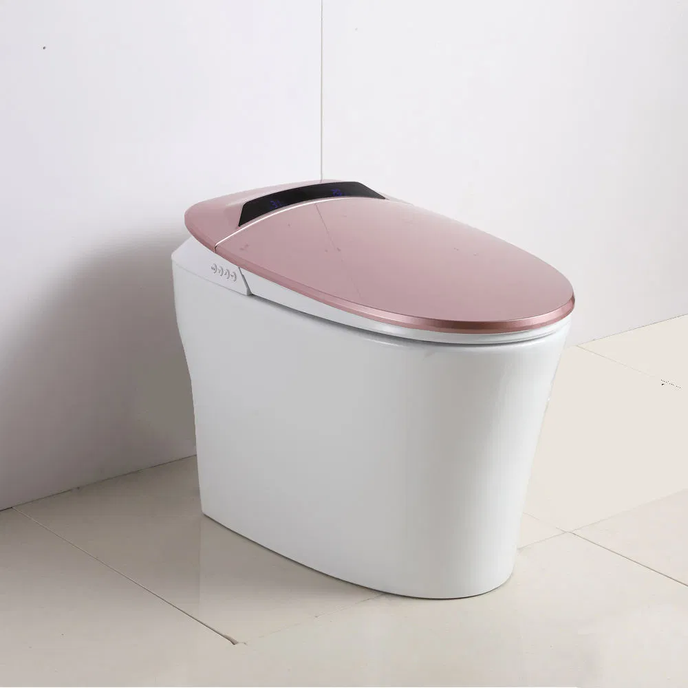 Factory Directly Modern Floor Standing White Glazed Ceramic Wc Intelligent Smart Toilets