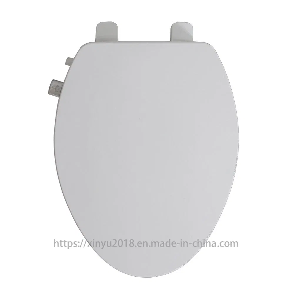 Bidet Toilet Seat