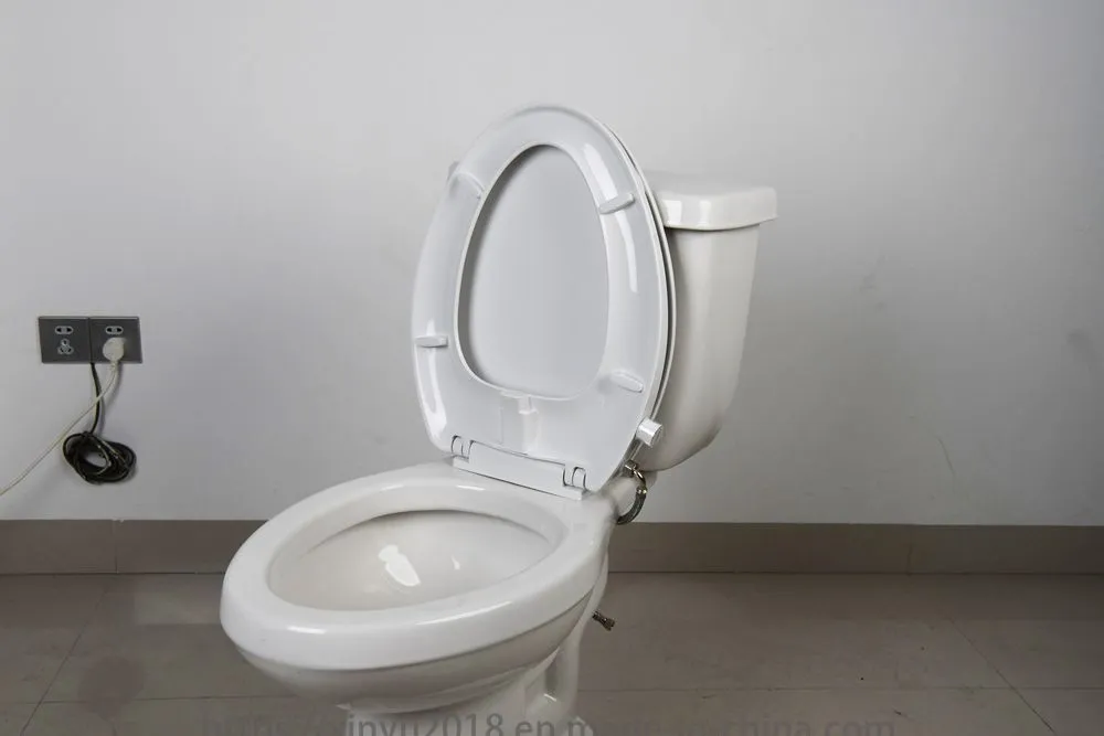 Bidet Toilet Seat View 8