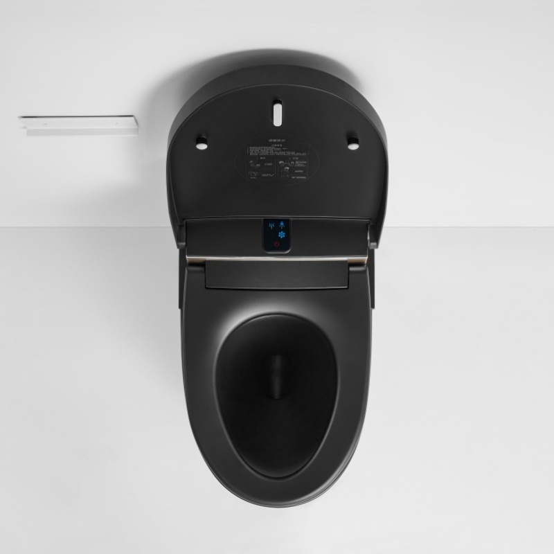 Watermark White Standing Mounted Auto Flush One Piece Smart Toilet