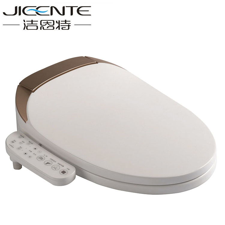 Dual Flush Heated Bidet Toilet Seat