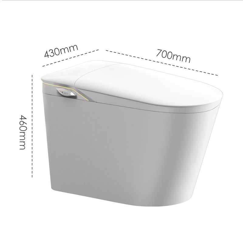New Model Floor-Standing Bidet Smart Toilet with Light Special Button
