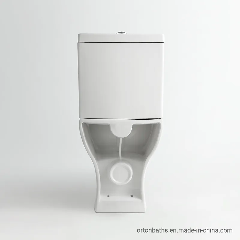 Sanitary Ware Tank Detail